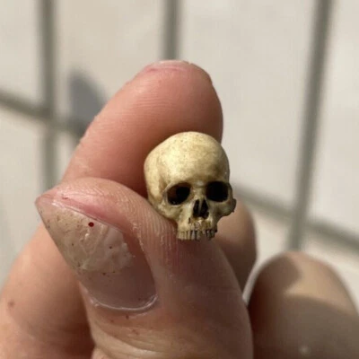 2PC Skull Head Model Scene Props Flowerpot Halloween Decoration Toys Resin - Image 1 of 4