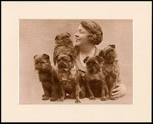 BRÜSSELER GRIFFON SCHÖNER KLEINER HUND DRUCK DAME 5 HUNDE MONTIERT RAHMENFERTIG - Bild 1 von 1