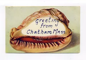 Saludos desde Chatham MA 1908 postal en relieve, caracola - Imagen 1 de 2