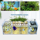 LED Licht Aquarium Acryl 4 Gitter Betta Fisch Tank Isolierbox mit Pumpe USA