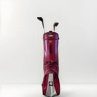 Bolsa de golf Titleist rígida vintage de cuero roja y blanca Foto 1 de 2