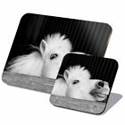 1x Cork Placemat & Coaster Set - BW - Cute Cheeky White Pony Horse Stable #37156