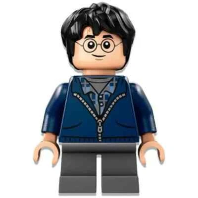 LEGO Harry Potter Minifigure hp495 Brand New - Image 1 of 2