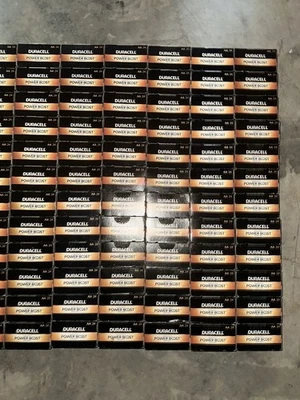 Duracell Coppertop AA 碱性电池 MN1500BKD 24 件装 快速发货! — 第 1/4 张图片