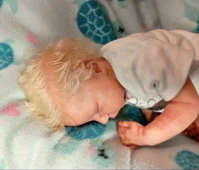 Bonnie Brown Reborn Doll Levi - Image 1 of 3