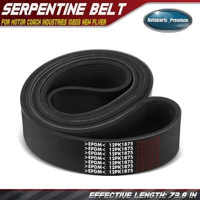 Cinturón Serpentine 73.8" para Motor Coach Industries 102D3 Nuevo Flyer D40LF Orion Bus Foto 1 de 4