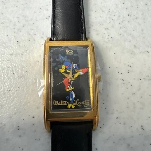 Rare Vintage Woody Woodpecker Rectangle Wrist Watch Never Used - Picture 1 of 10