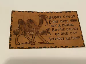 Early 1900s Antique Leather Postcard - A Camel Can Go 8 Days Without Drinking - Picture 1 of 6