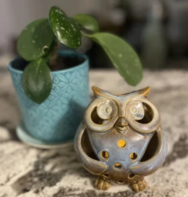 Чайный светильник Pier 1 3D Owl светящийся синий с какао-коричневой отделкой 3,25 дюйма x 3,25 дюйма - Изображение 1 из 4