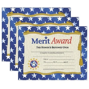 Hayes Publishing Merit Award Certificate 8.5" x 11" 30/Pack 3 Packs (H-VA507-3) - Photo 1/1