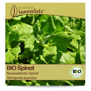 BIO Spinat Samen Sorte Neuseeländer Spinat Gemüsesamen BIO Gemüse Saatgut samenf - Bild 1 von 8
