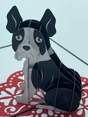 Tarjeta emergente 3D Boston Terrier perro cachorro blanco y negro mejor amigo del hombre Foto 1 de 4