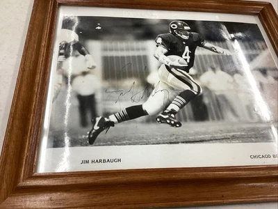 Jim Harbaugh Chicago Bears 8 x 10 enmarcado firmado, impresión, blanco y negro Foto 1 de 3