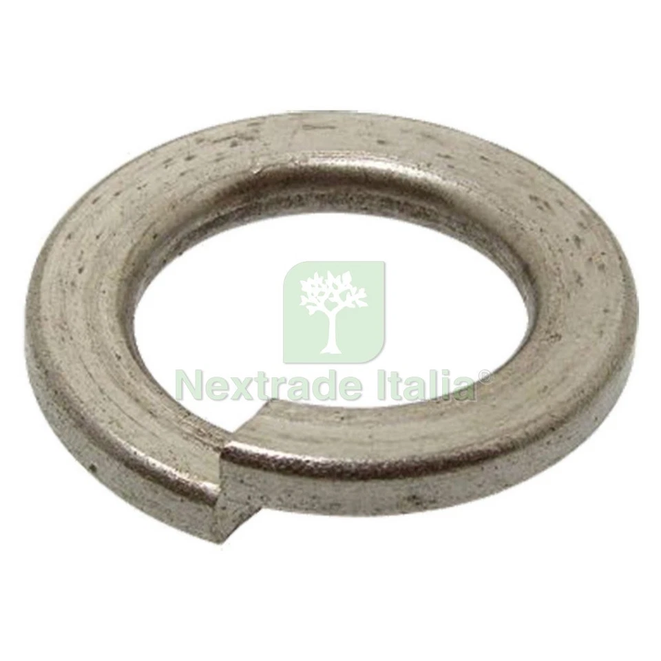 1BLISTER RONDELLA ELASTICA GROWER MM 8 PZ. 20: - Immagine 1 di 1