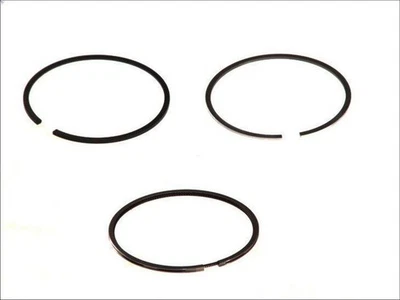 Kit fascia elastica MAHLE 030 90 N2 per AUDI A3 (8P1) 2 2003-2012 Foto 1 de 4