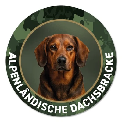 Alpenländische Dachsbracke Autoaufkleber, Zaunschild "Hier wache ich" Warnschild - Bild 1 von 4