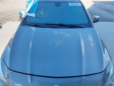 (LOCAL PICKUP ONLY) Hood 117 Type Fits 14-19 MERCEDES CLA-CLASS 3062809 Foto 1 de 4