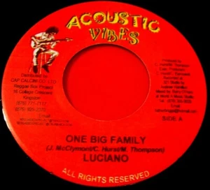 Luciano One Big Family 7"JA ORIG 2004 Acoustic Vibes Alto Ego Riddim Roots VINYL - Picture 1 of 2