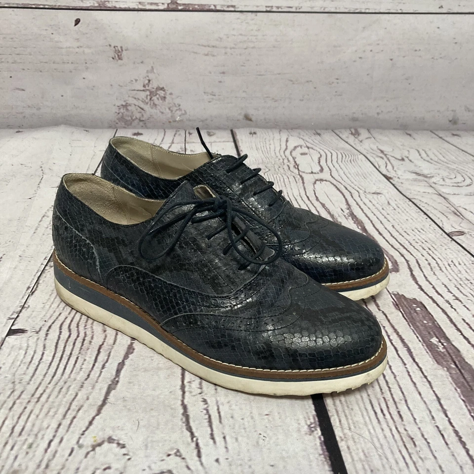 Boden Wingtip 牛津楔形鞋女式 9.5 码 Eu 40 Willa 皮革布洛克蓝色 — 第 1/4 张图片