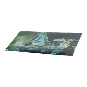 Aquarium Background PVC 3D Effects Multipurpose Fish Tank Decoration Picture Bst - Picture 1 of 12