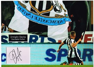 Dwight GAYLE SIGNED Autograph 16x12 Photo Dry Mount +Dealer COA Newcastle United - Picture 1 of 1
