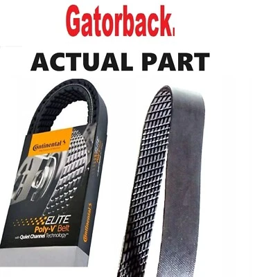 NUEVO Cinturón Serpentine Poly-V The Quiet Belt Gatorback CONTINENTAL ELITE 4080622 Foto 1 de 3