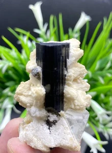 62 Gm Black Tourmaline Crystal Cambian Maeka From Skhardo - Picture 1 of 4