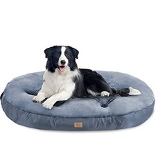 dog beds clearance large