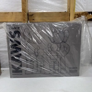 KAWS FAMILY GREY BROWN BLUE WHITE figure kaws first tokyo ๐ฏ๐ฏ AUTHENTIC - Picture 1 of 6