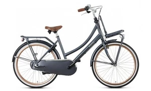 Propal Dutch Vintage Classic Bike - 26" - Hybrid -  Shimano Nexus - 18" - New  - Picture 1 of 5