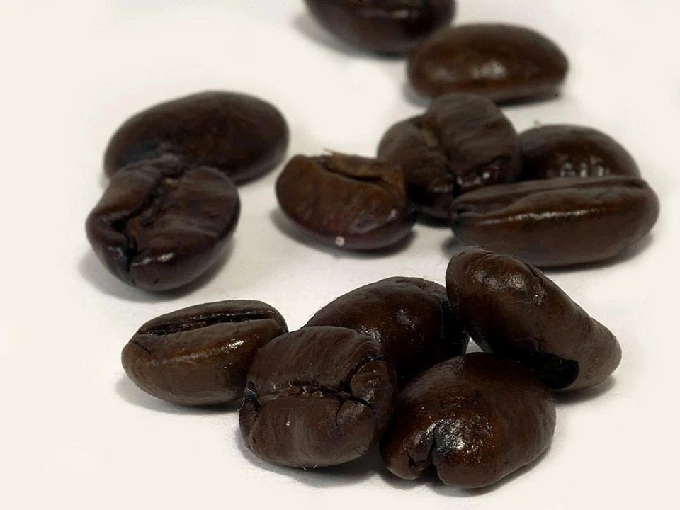Café Caballo Dorado Kuda Mas Triple Seleccionado Almendra Sumatra Grado 1 -10 lb BEAN Foto 1 de 1