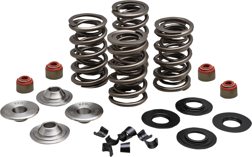 Kit de resorte Kibblewhite 20-23550 09-21 Harley-Davidson Iron 883 XLN Foto 1 de 1