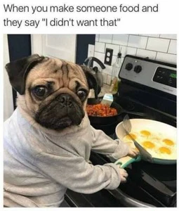 "Divertido imán refrigerador perro Pug 3 1/2 X 3 1/2" - Imagen 1 de 1