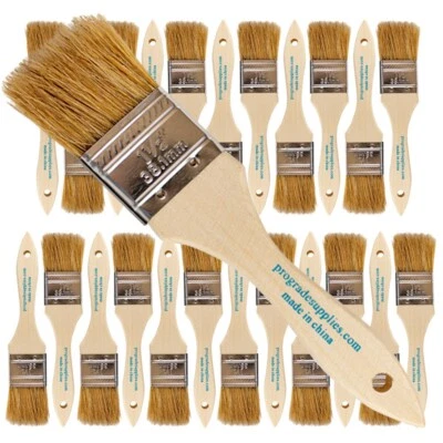 PROGRADE SUPPLIES 24 Pk- 1.5 inch Chip Paint Brushes for Paint, Stains,Varnishes,Glues,Gesso
