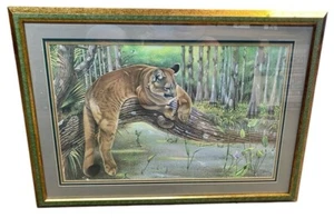 Florida Panther 28"×20" Signed Framed Print By Richard Evans Younger 447/1500 - Picture 1 of 5