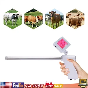 Cattle Visual Artificial Insemination Gun Cow Insemination Kit Breeding Equipmen - Picture 1 of 12