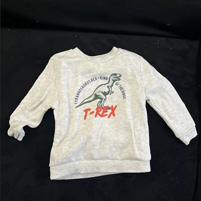 Suéter de dinosaurio T Rex niño pequeño 2-3 Foto 1 de 3