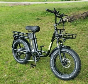 20 Zoll Elektrofahrrad mit Korb 750W 25AH E-City bike 120KM Liefer E-Bike EU - Bild 1 von 13