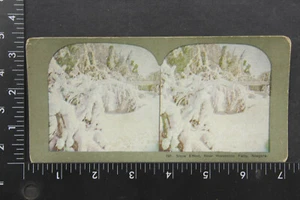 Niagara Falls Horseshoe #797 Snow Scene - Offset Print - Stereoview VINTAGE 1121 - Picture 1 of 3