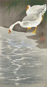 Japanese Art Repro Print Shin Hanga Reflection "Ducks by Water" OHARA KOSON - Picture 1 of 2