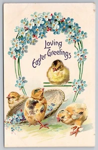 1910s tuck Easter No 112 Chicks Forget-Me-Nots Loving Greetings Postcard - Picture 1 of 3