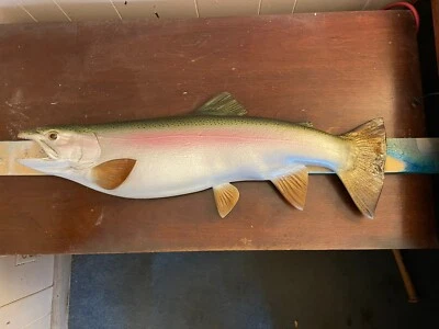 Réplica de trucha arco iris de media cara 34" Foto 1 de 4