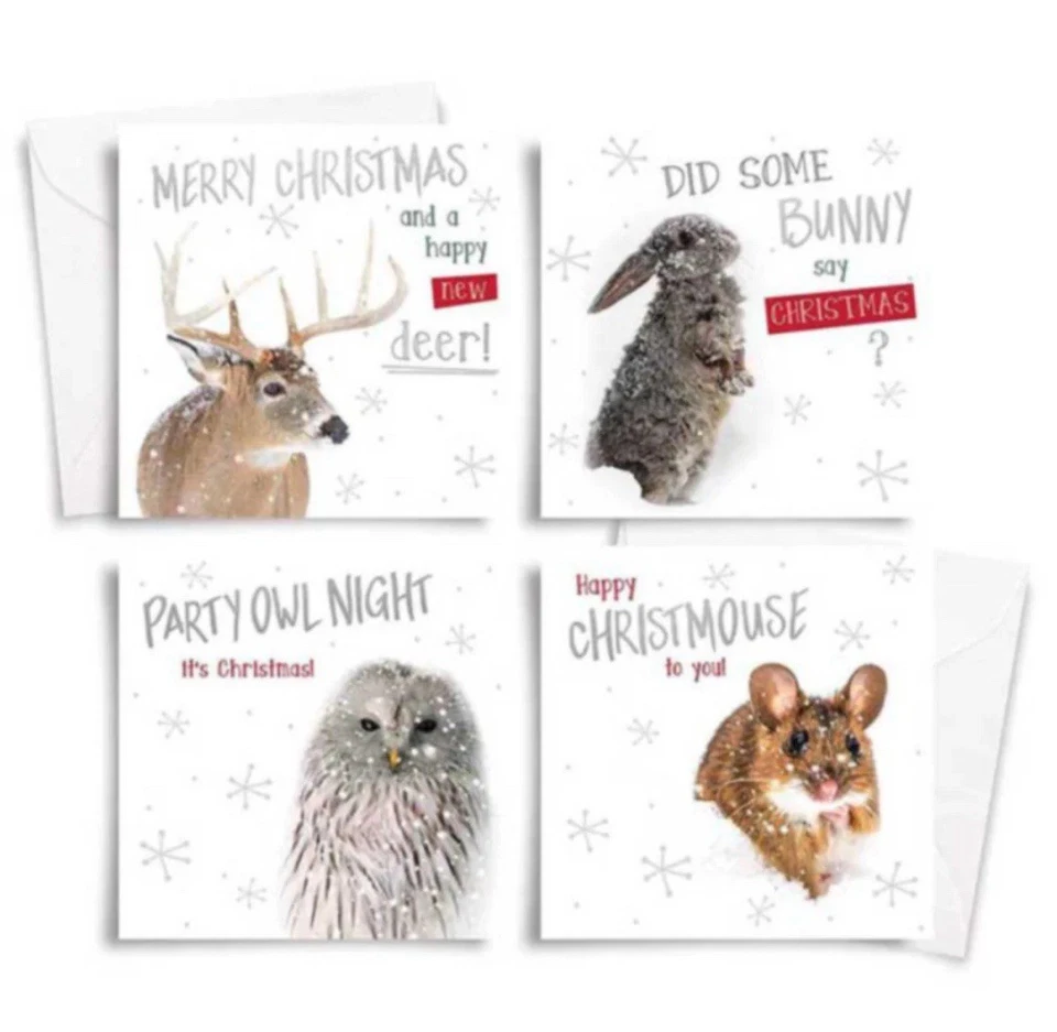 30 CARDS - 3 x 10 luxury packs of humorous animal Christmas themed festive Cards - Image 1 of 1