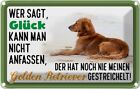 Blechschild 20x30 cm Glück Golden Retriever Hund Tiere & Haustiere