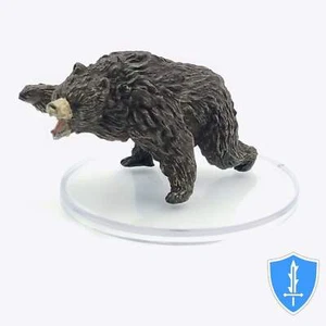 Brown Bear - Spell Effects Wild Shape & Polymorph 2 #11 D&D Icons of the Realms - Picture 1 of 2