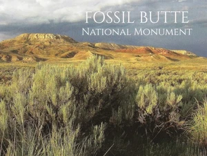 Postcard Wyoming Kemmerer Fossil Butte Nat'l Monument Lincoln County MINT - Picture 1 of 1