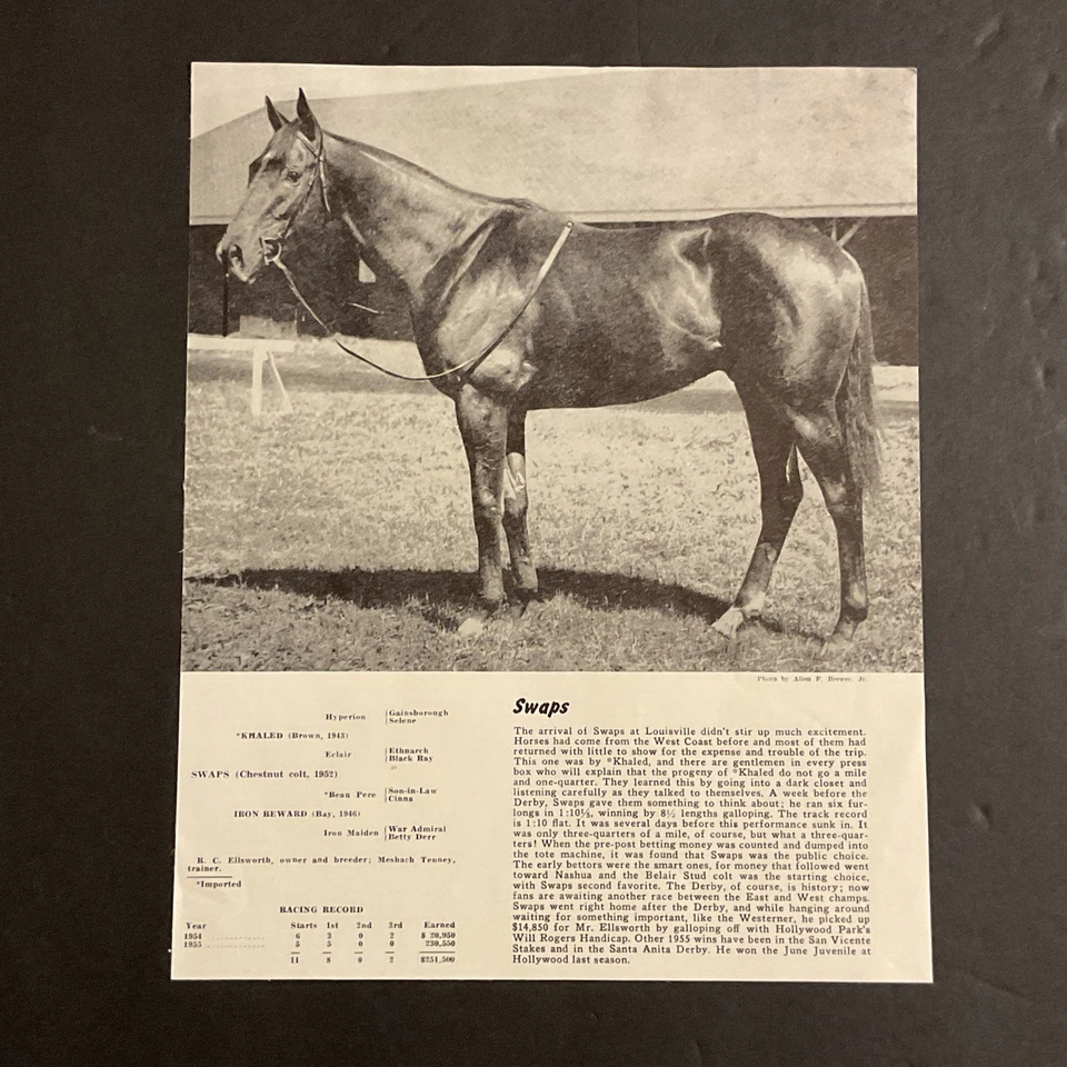 SWAPS photo Horse  Racing 1955 KENTUCKY DERBY - Image 1 of 1