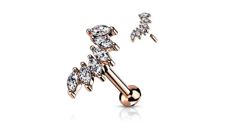 Conjunto de joyería corporal de cartílago labret roscado interno superior curva marquesa circonita cúbica Foto 1 de 1