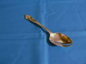 CUCHARADITA DE PLATA WALLACE PUNTO ROSA SETERLING - Imagen 1 de 1