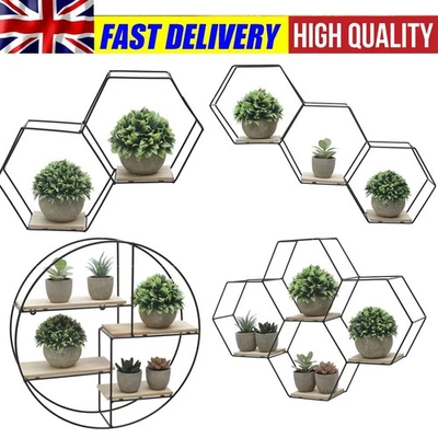 Wall Shelves Black Hexagon Storage Modular Wood Shelf Plant Display Stand Units - Image 1 of 4